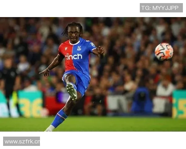 前水晶宫老板遭9700万美元索赔多家俱乐部集团陷入财务危机